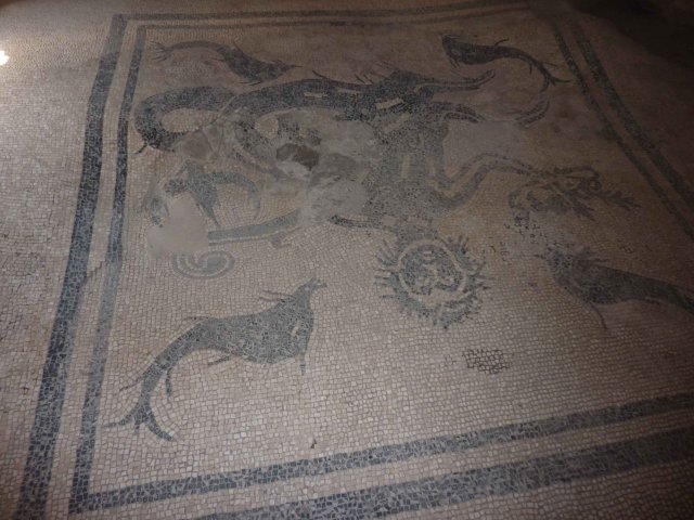 Photos de mosaique au sol Herculanum